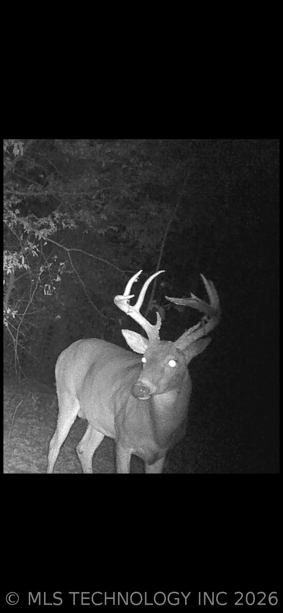 Fig Road Henryetta OK 74437