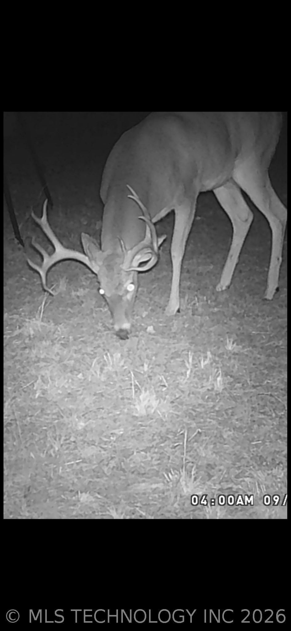 Fig Road Henryetta OK 74437