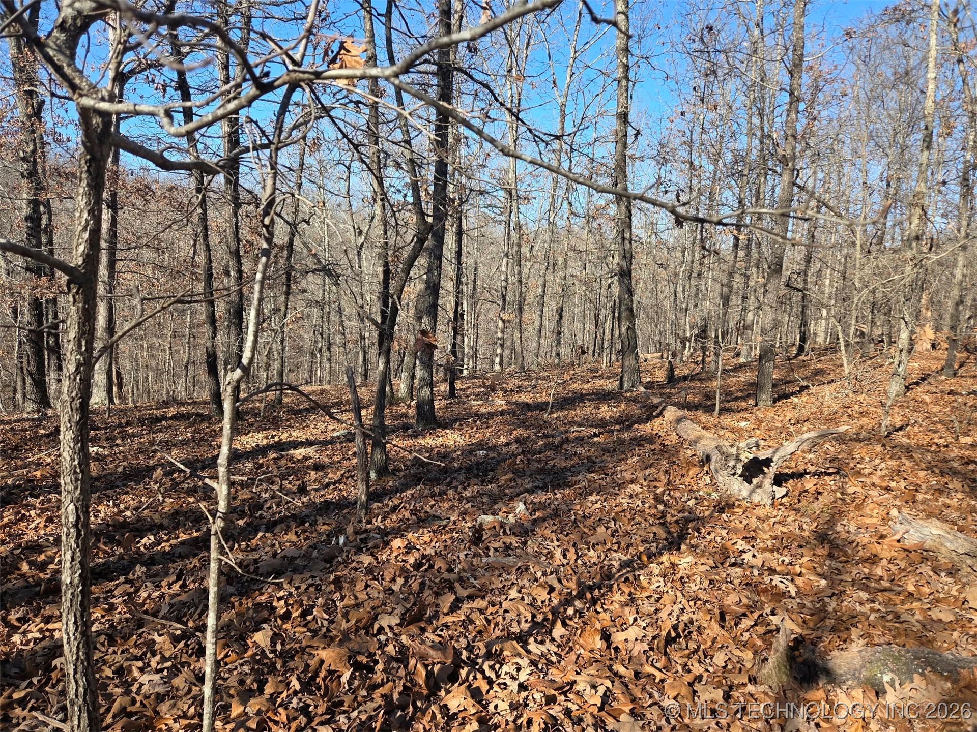 465030 Mcspadden Ridge Proctor OK 74457