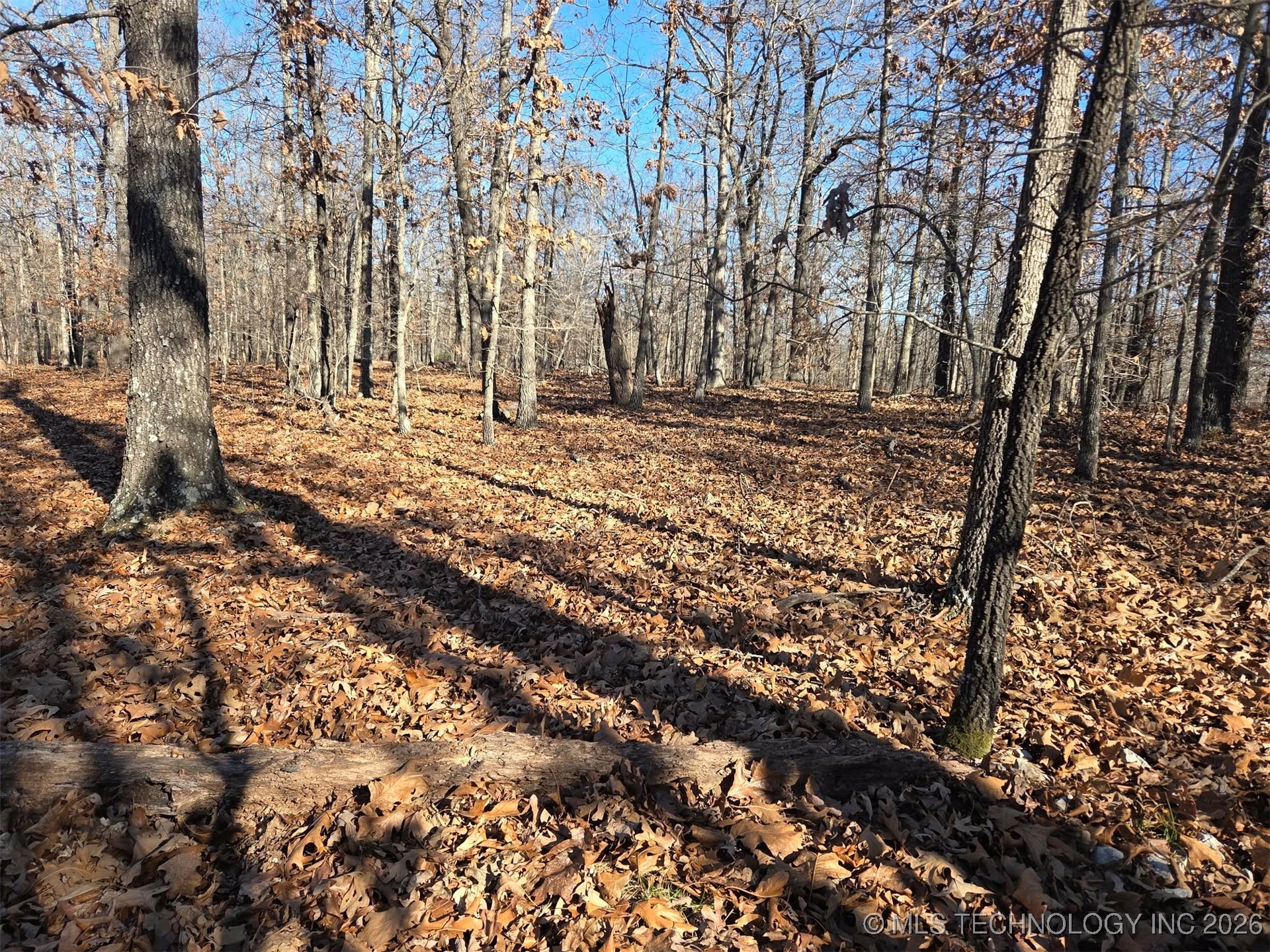 465030 Mcspadden Ridge Proctor OK 74457