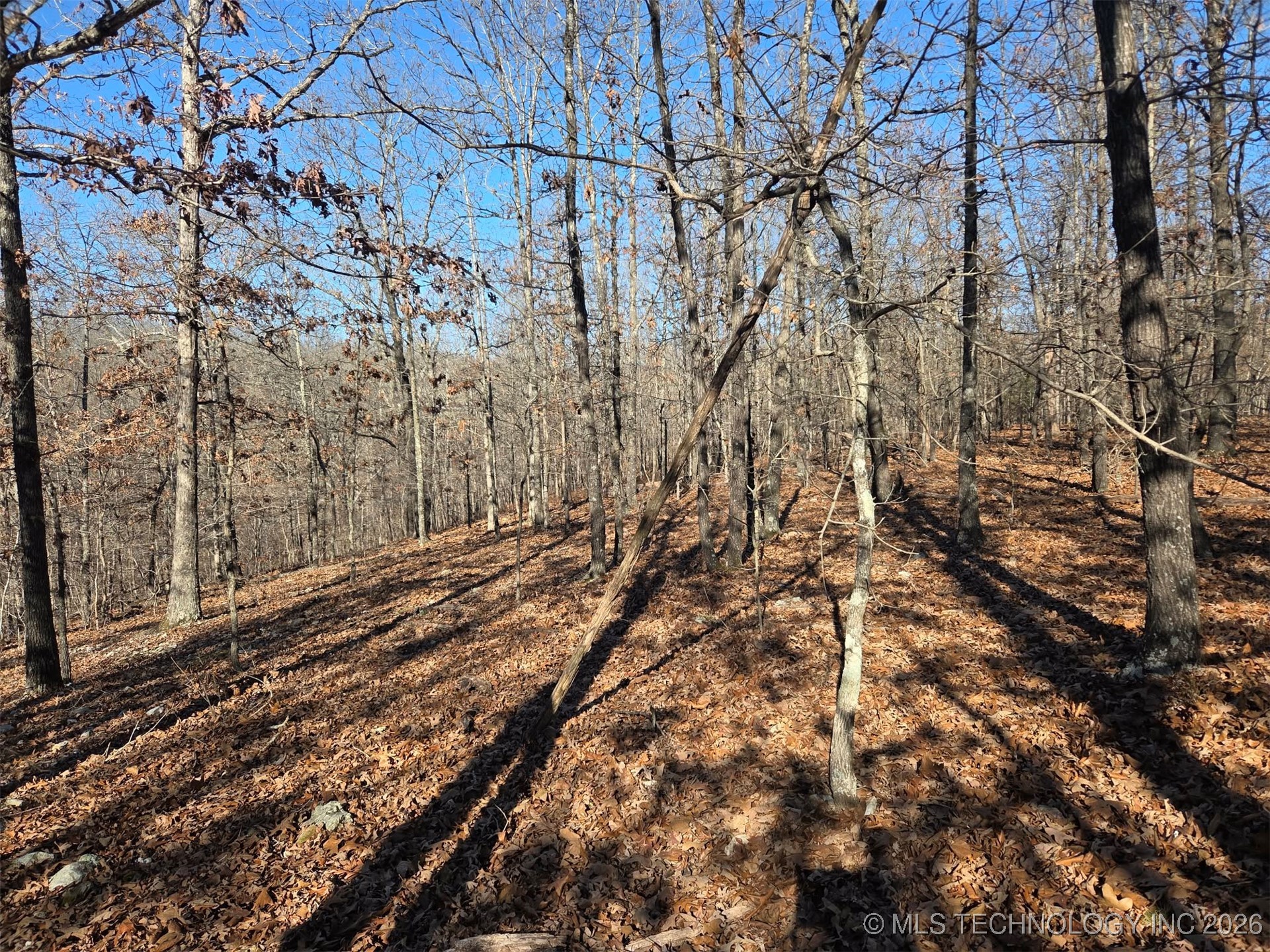 465030 Mcspadden Ridge Proctor OK 74457