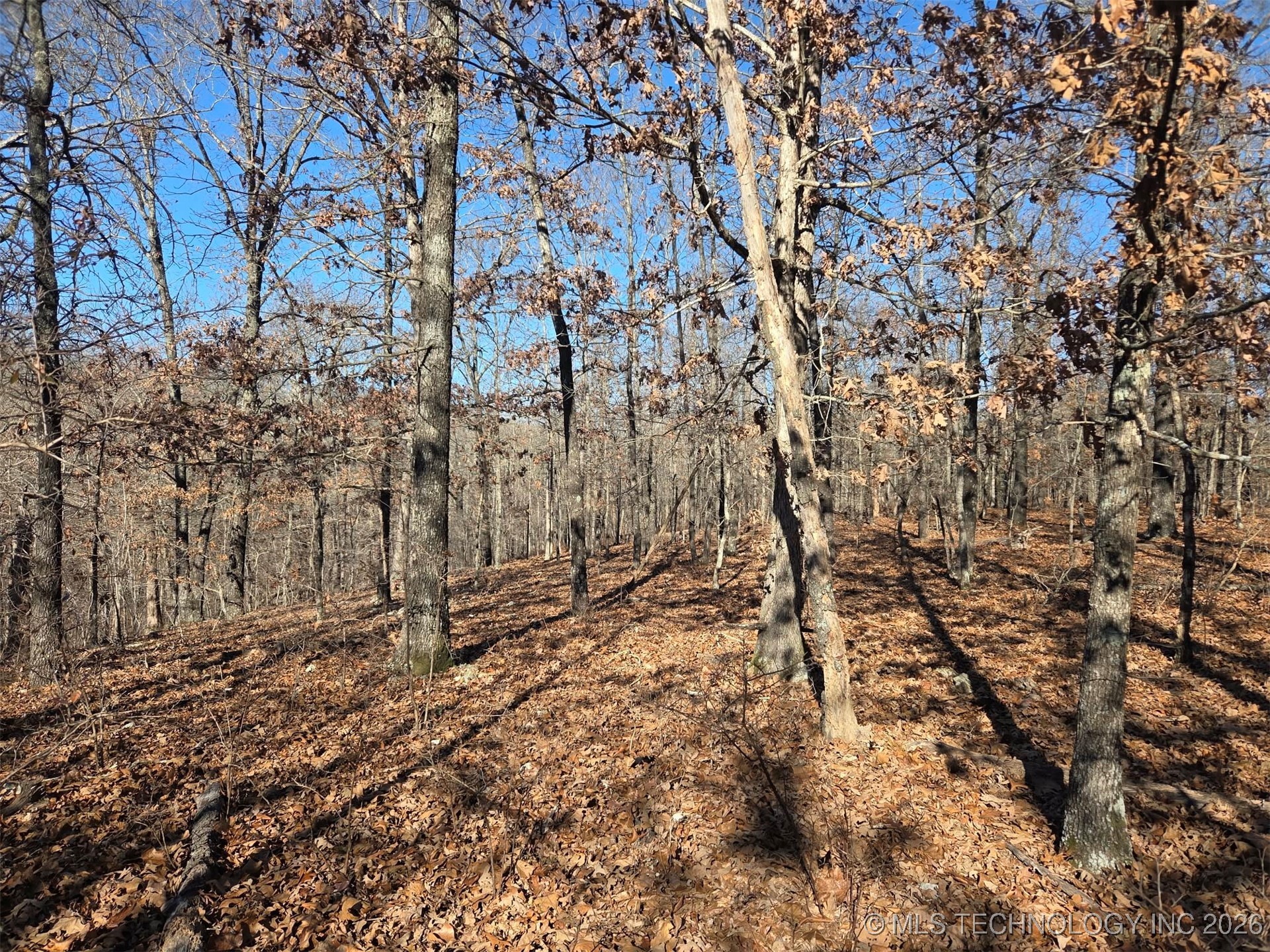 465030 Mcspadden Ridge Proctor OK 74457