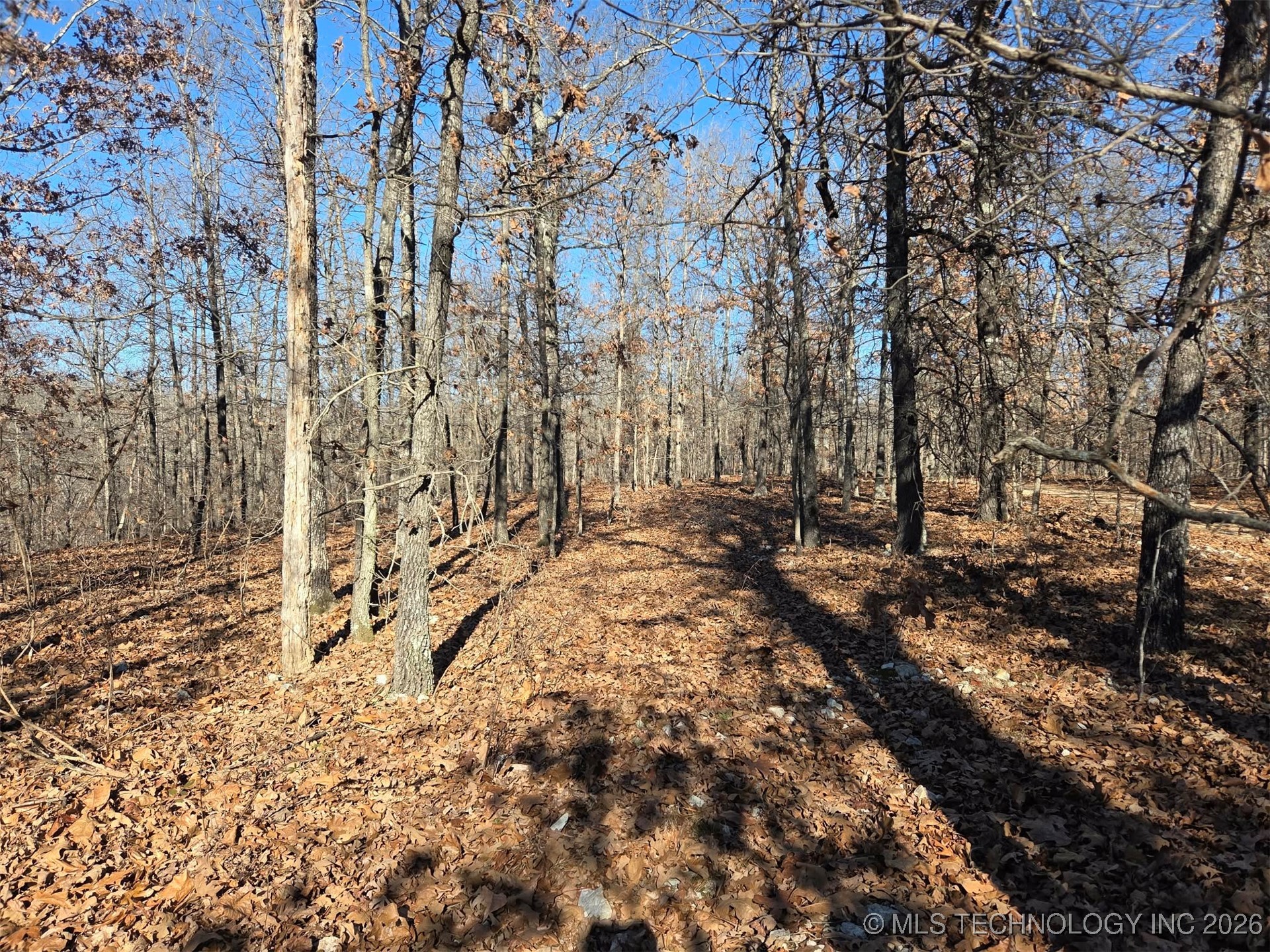 465030 Mcspadden Ridge Proctor OK 74457