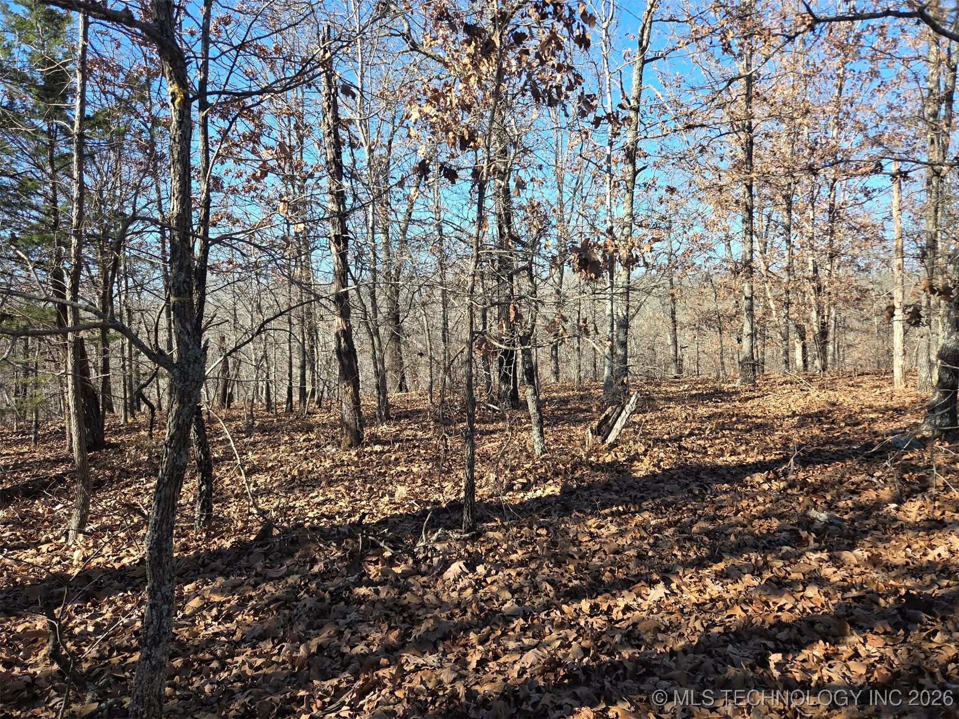 465030 Mcspadden Ridge Proctor OK 74457
