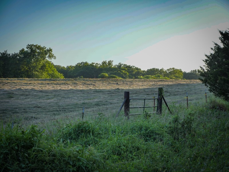 385003 E 1150 Road Weleetka OK 74880