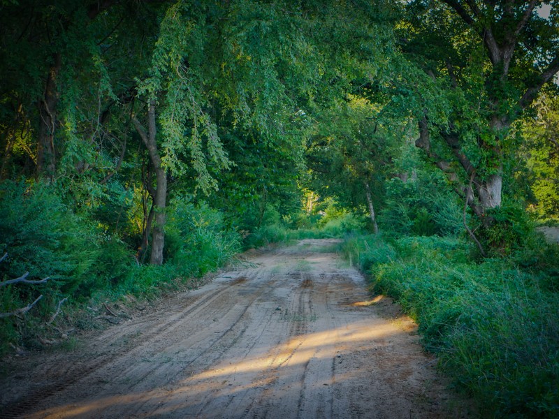 385003 E 1150 Road Weleetka OK 74880
