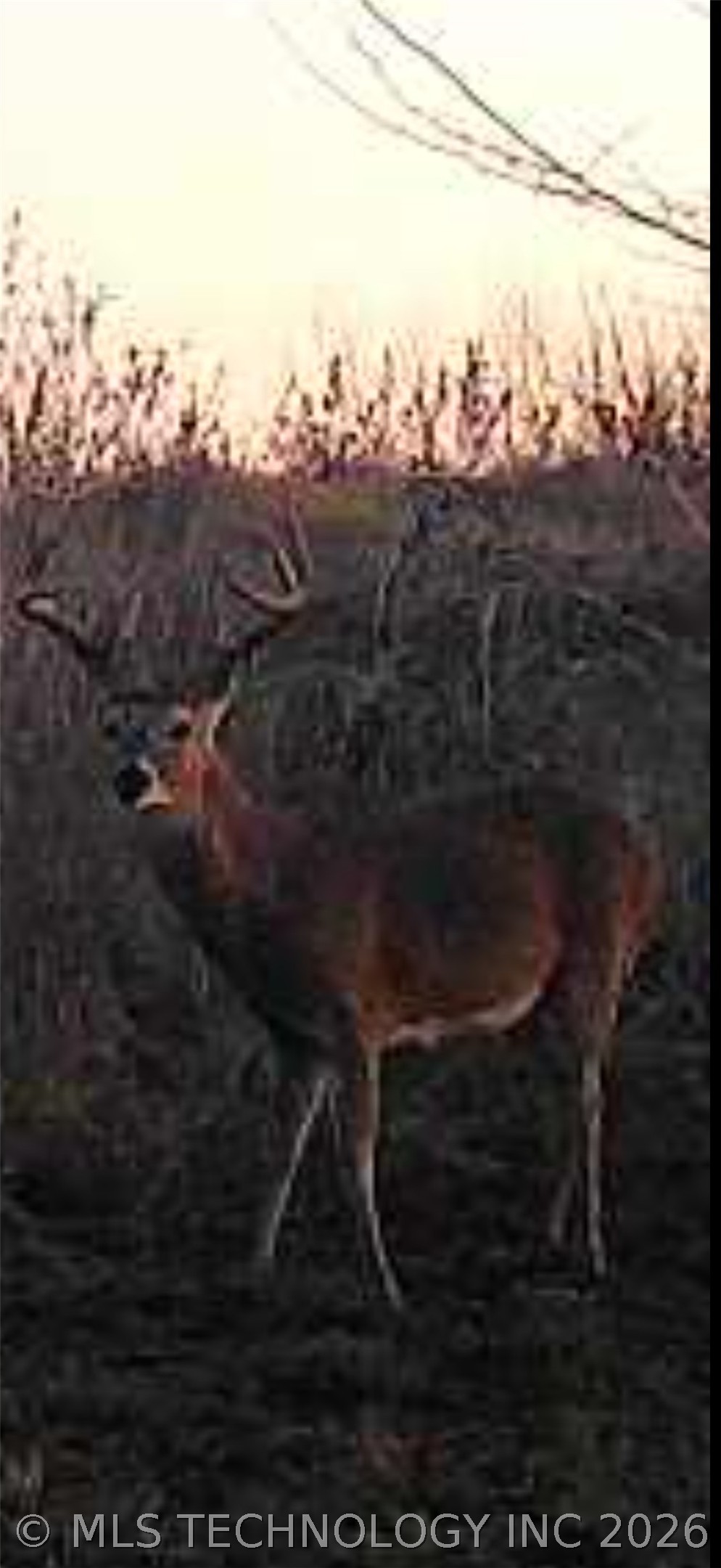 2470 Conoco Wilson OK 73463