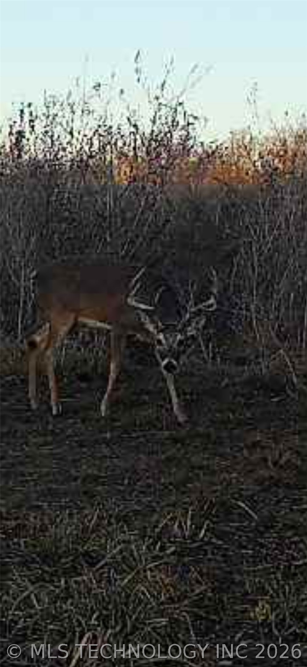 2470 Conoco Wilson OK 73463