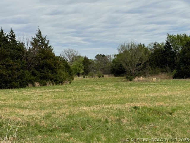 Lilac Burneyville OK 73430