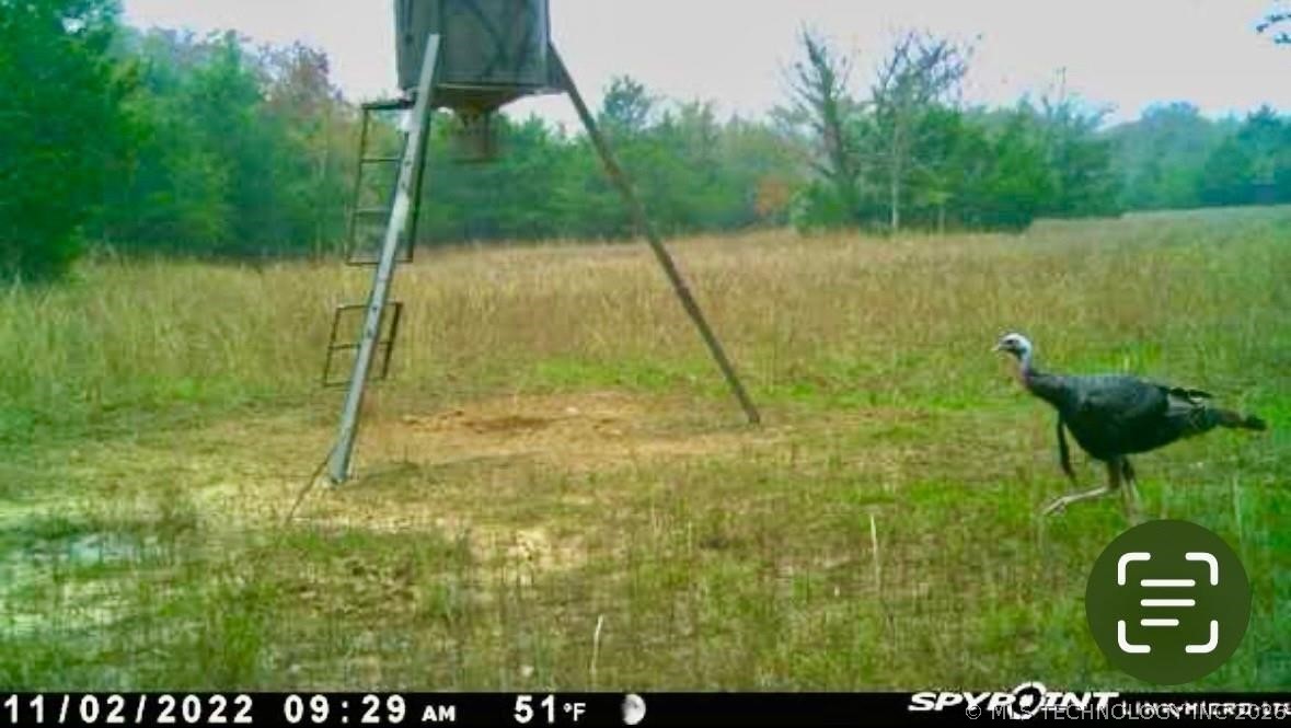 Lake Antlers OK 74523