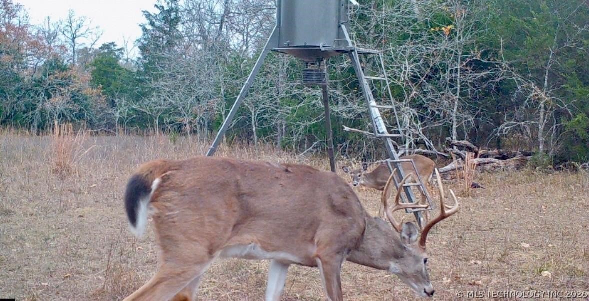 Lake Antlers OK 74523