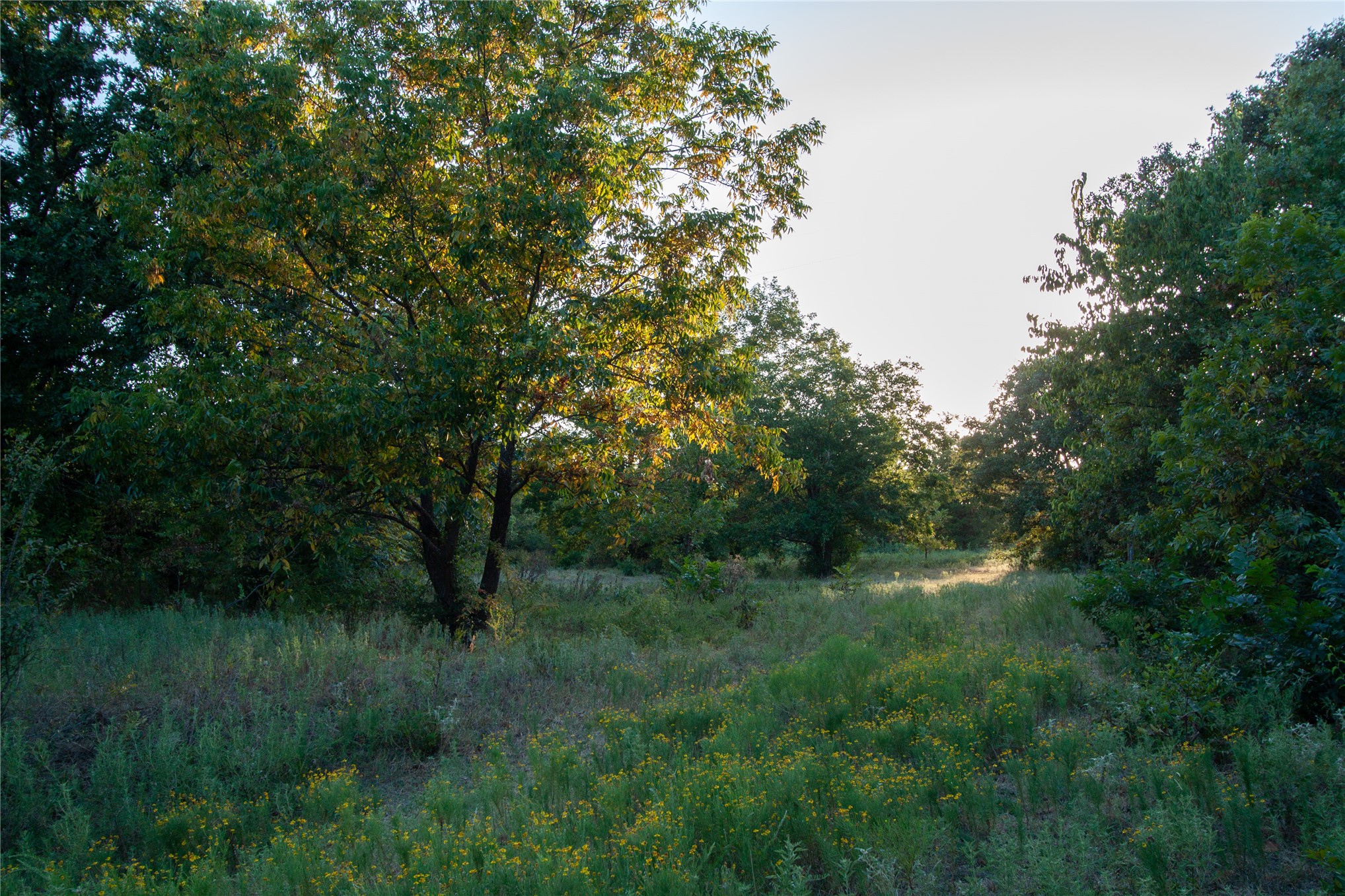 0000 3870 Road Weleetka OK 74880