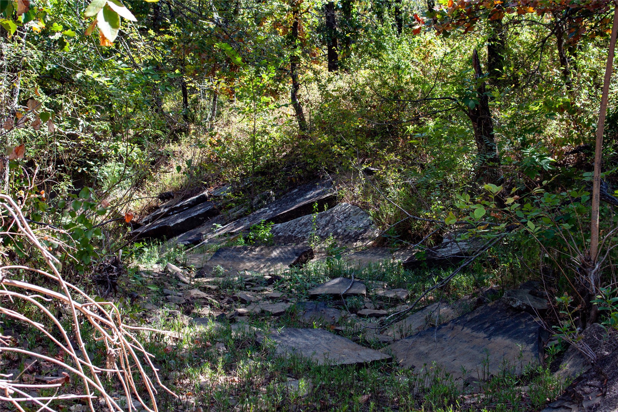 0000 3870 Road Weleetka OK 74880