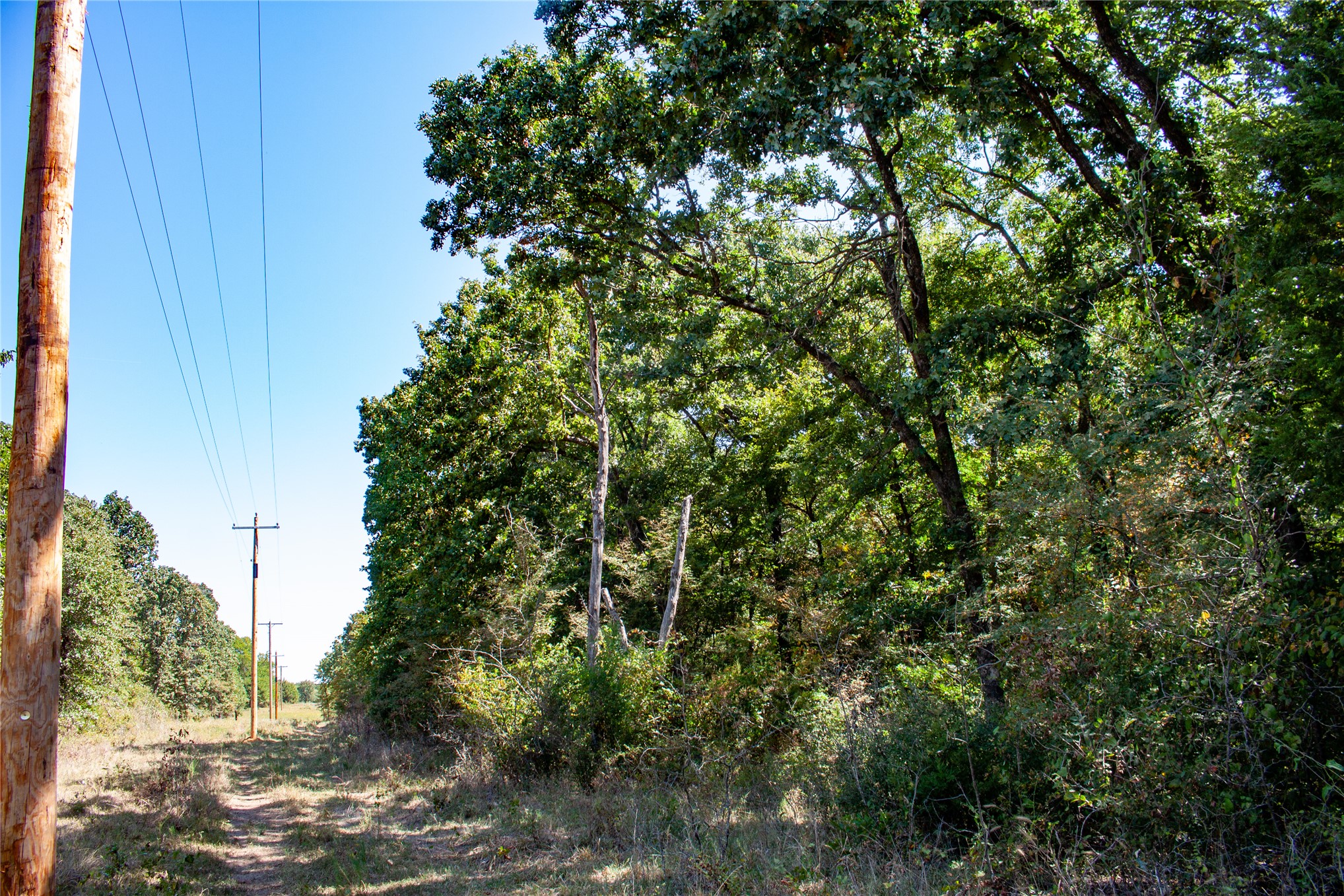 0000 3870 Road Weleetka OK 74880