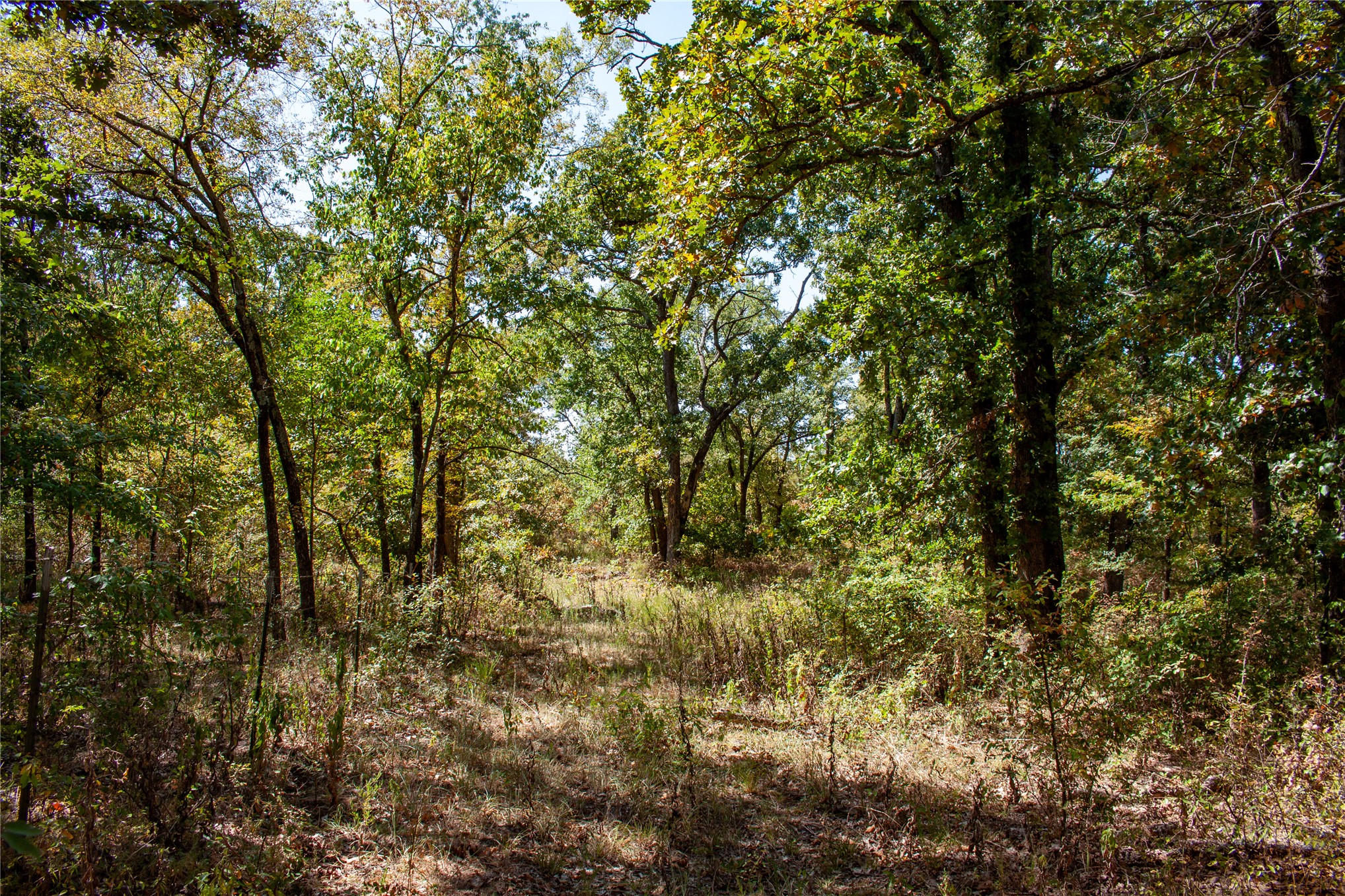 0000 3870 Road Weleetka OK 74880
