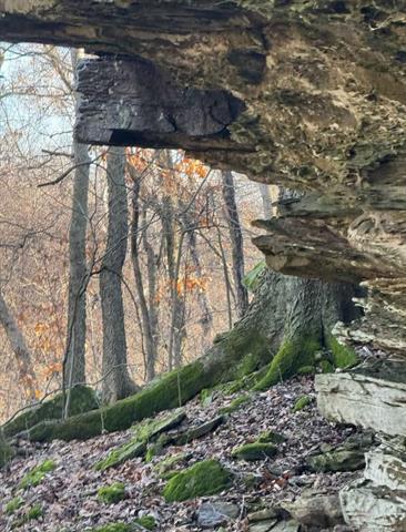 002 W Fern Mountain Road Muskogee OK 74401