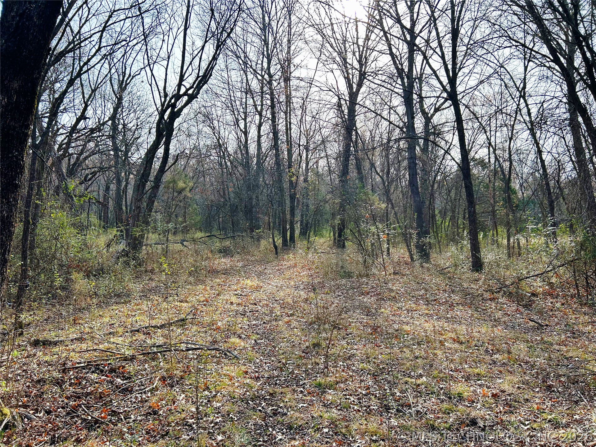 Palm Avenue Muskogee OK 74401