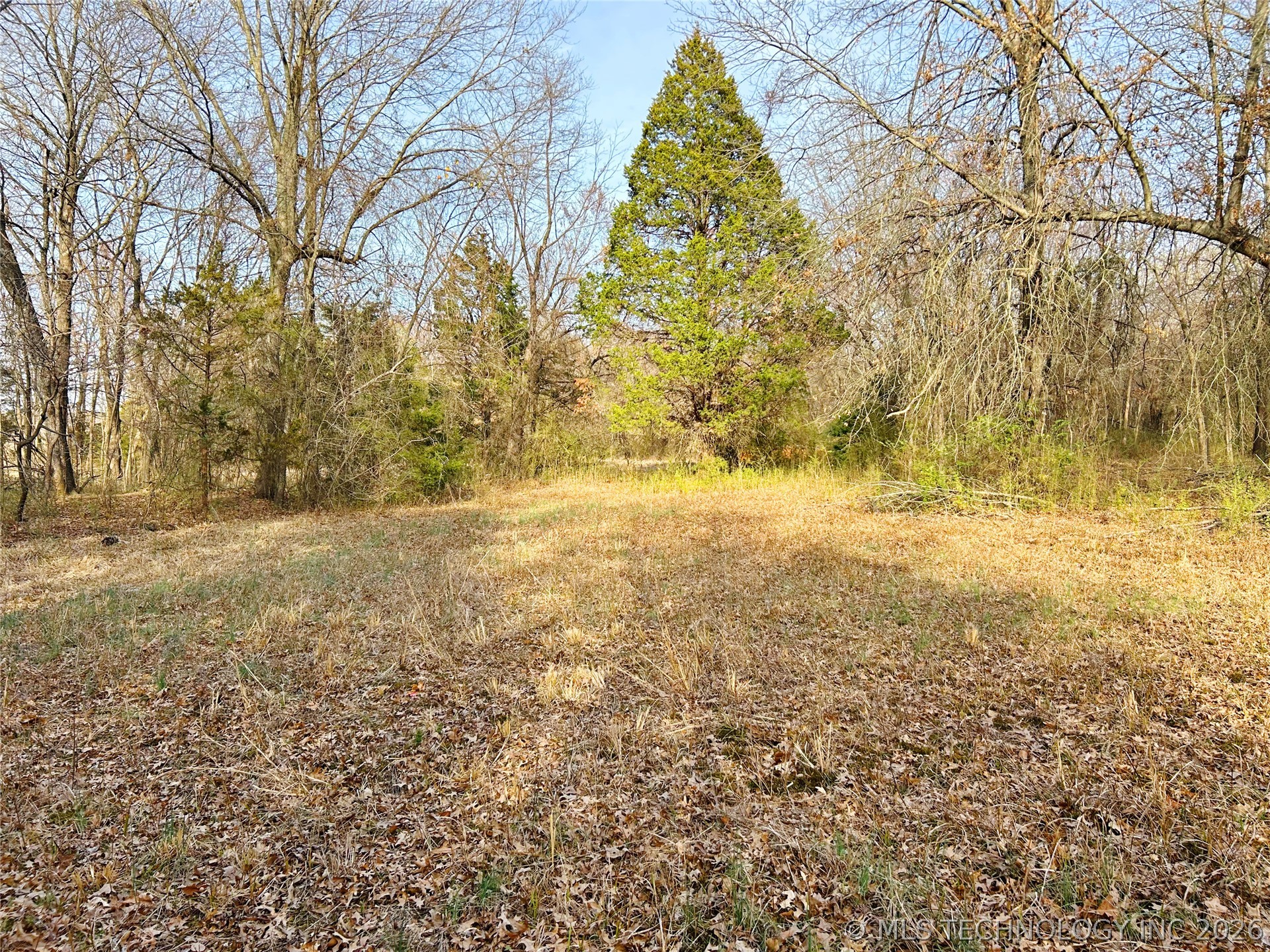 Palm Avenue Muskogee OK 74401
