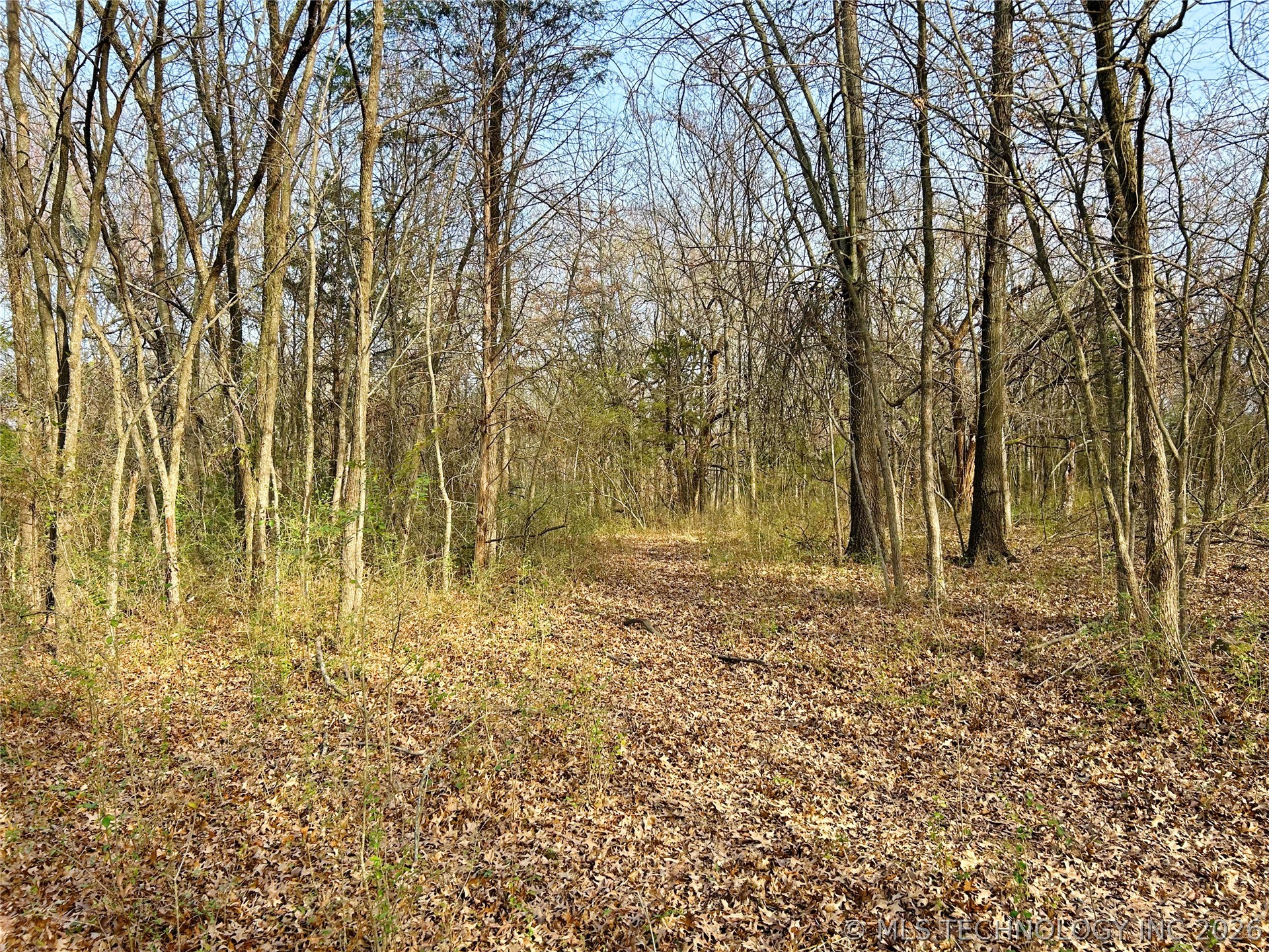 Palm Avenue Muskogee OK 74401
