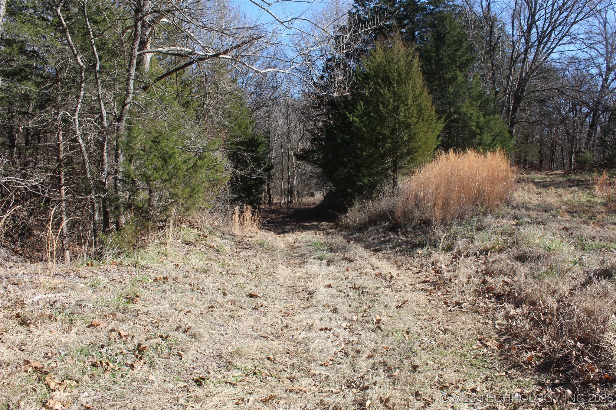 E County Road 1185 Wetumka OK 74883