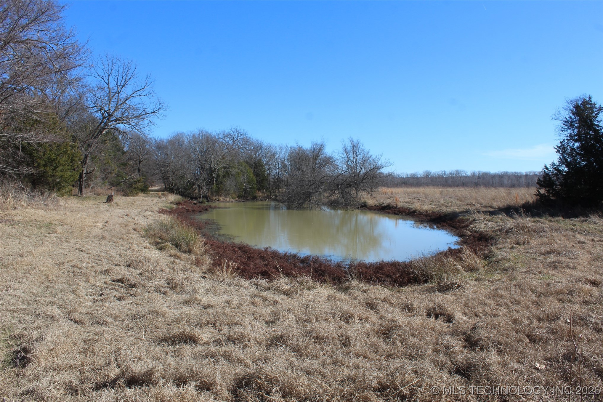 E County Road 1185 Wetumka OK 74883
