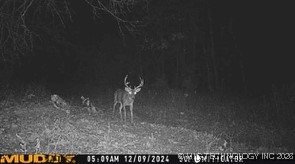E County Road 1185 Wetumka OK 74883
