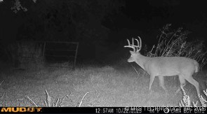 E County Road 1185 Wetumka OK 74883