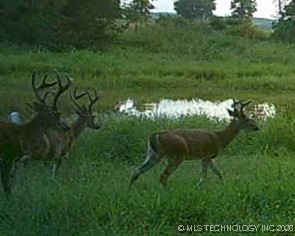 E County Road 1185 Wetumka OK 74883