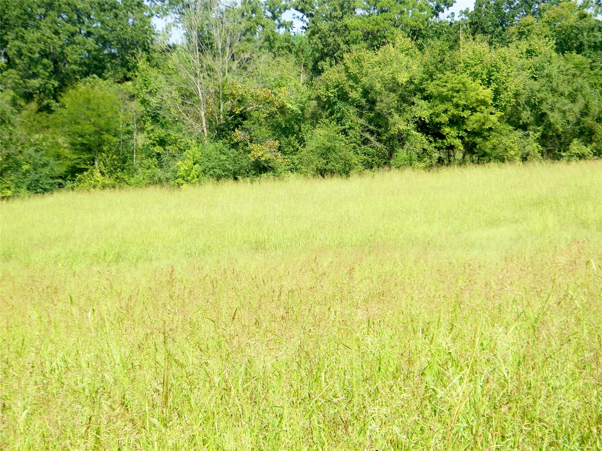 901 Sycamore Loop Broken Bow OK 74728
