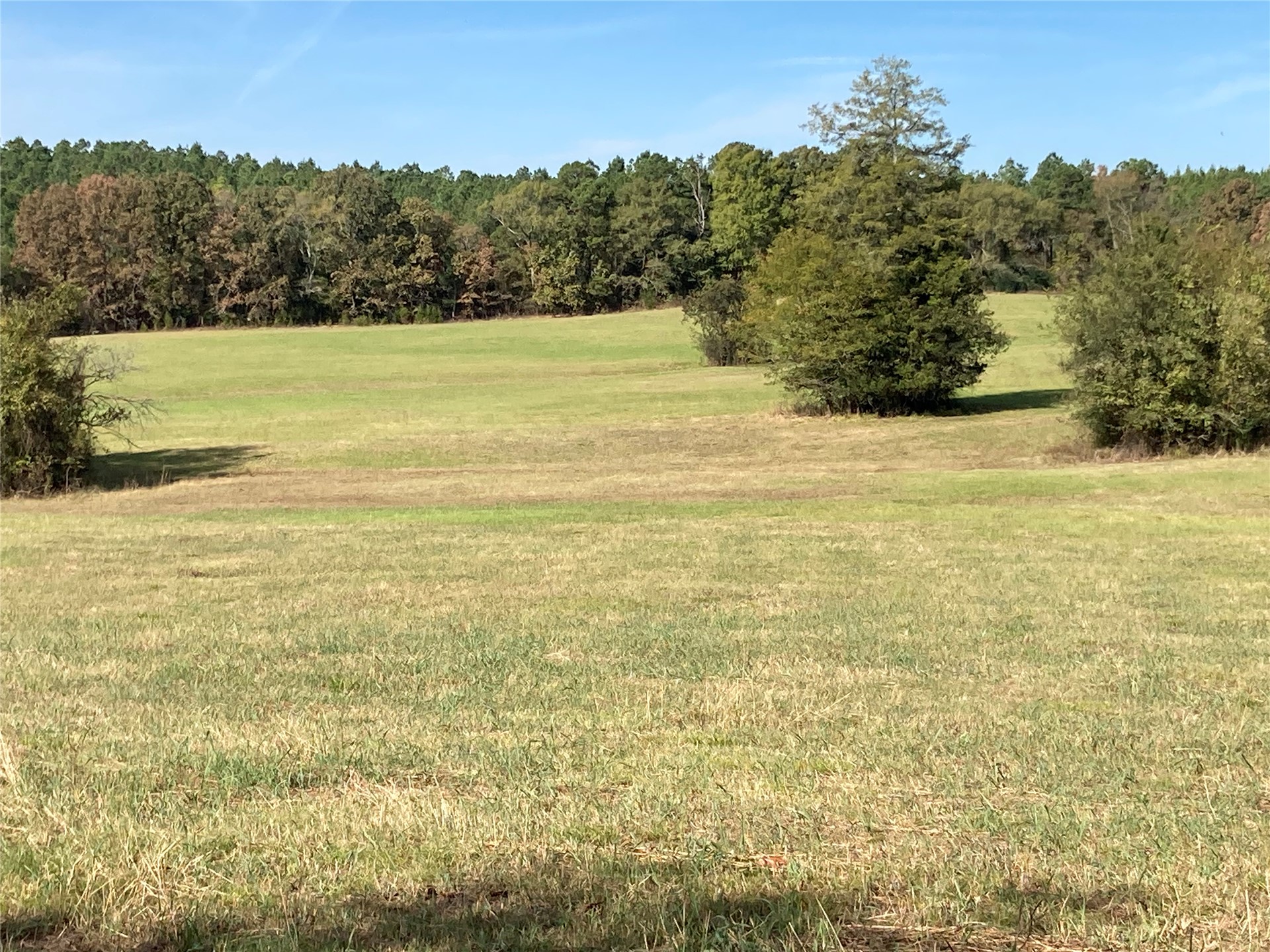 901 Sycamore Loop Broken Bow OK 74728