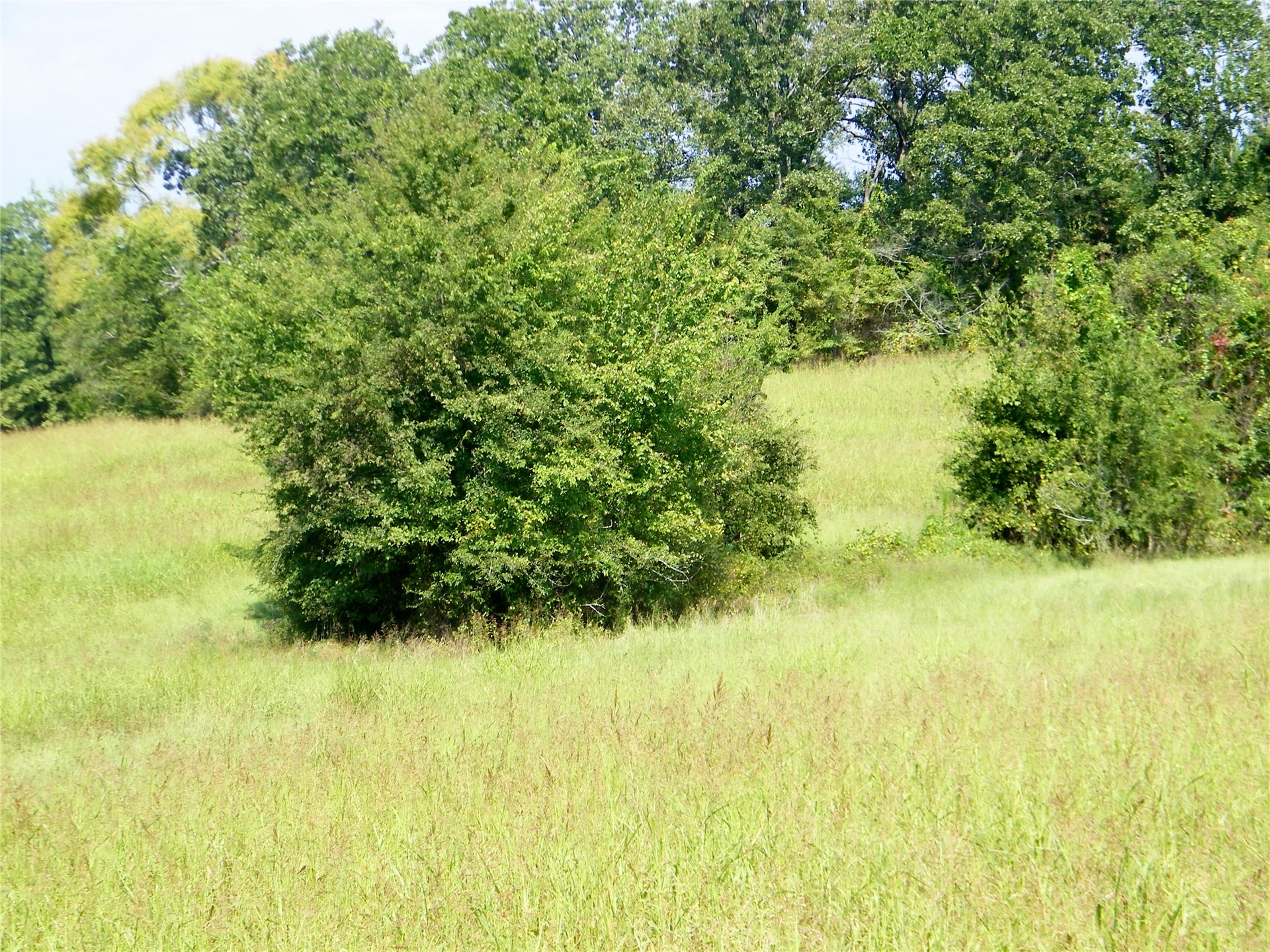 901 Sycamore Loop Broken Bow OK 74728