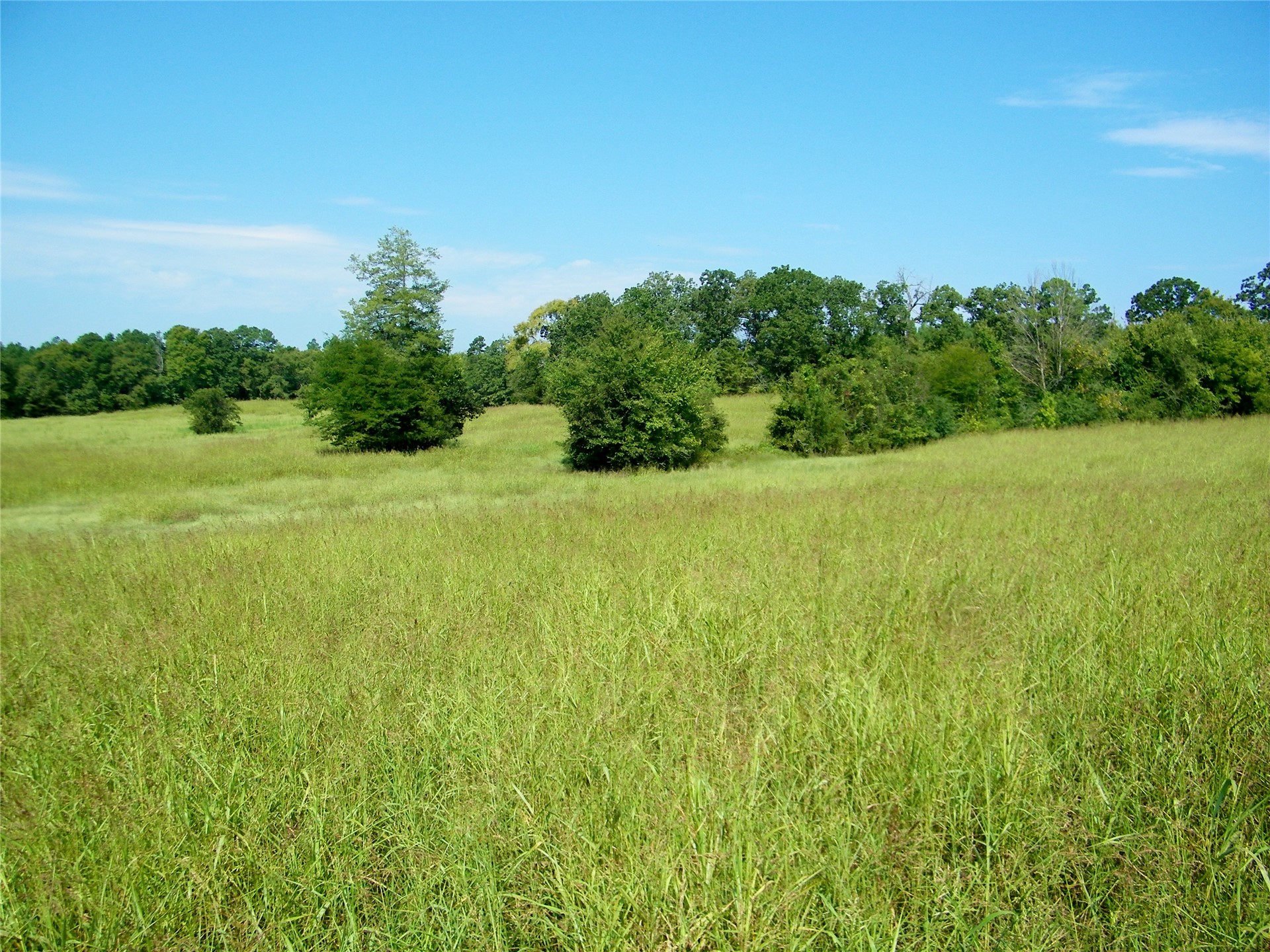 901 Sycamore Loop Broken Bow OK 74728