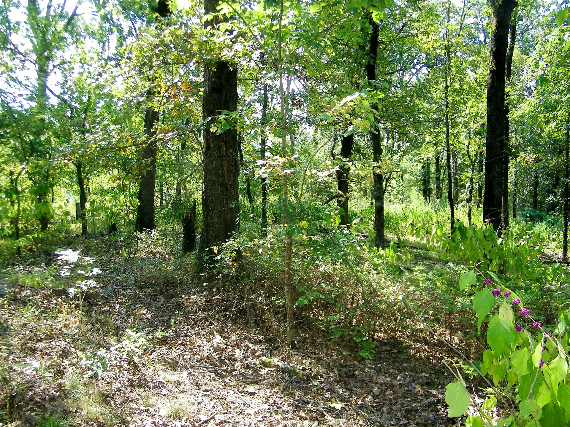 901 Sycamore Loop Broken Bow OK 74728