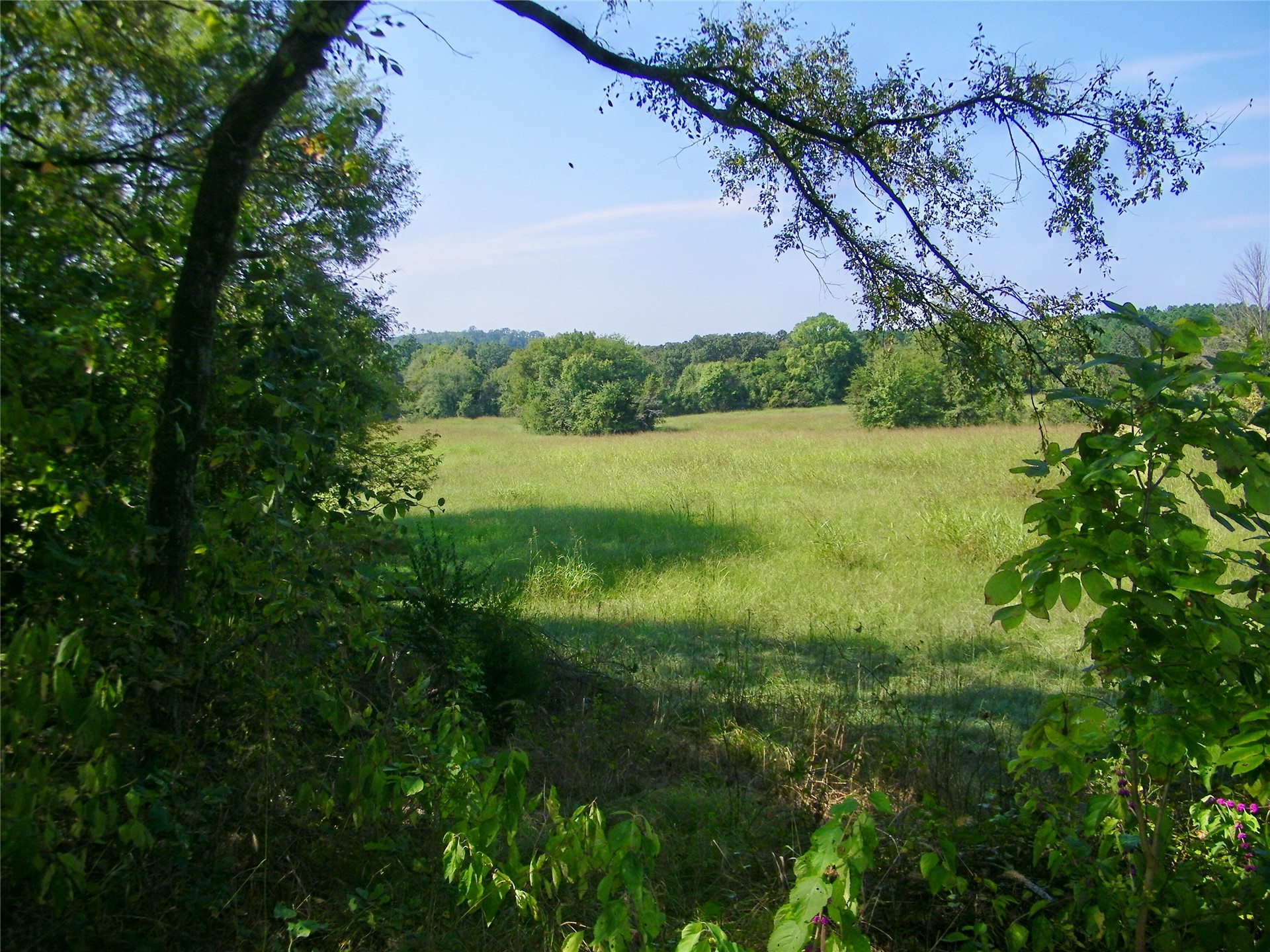 901 Sycamore Loop Broken Bow OK 74728