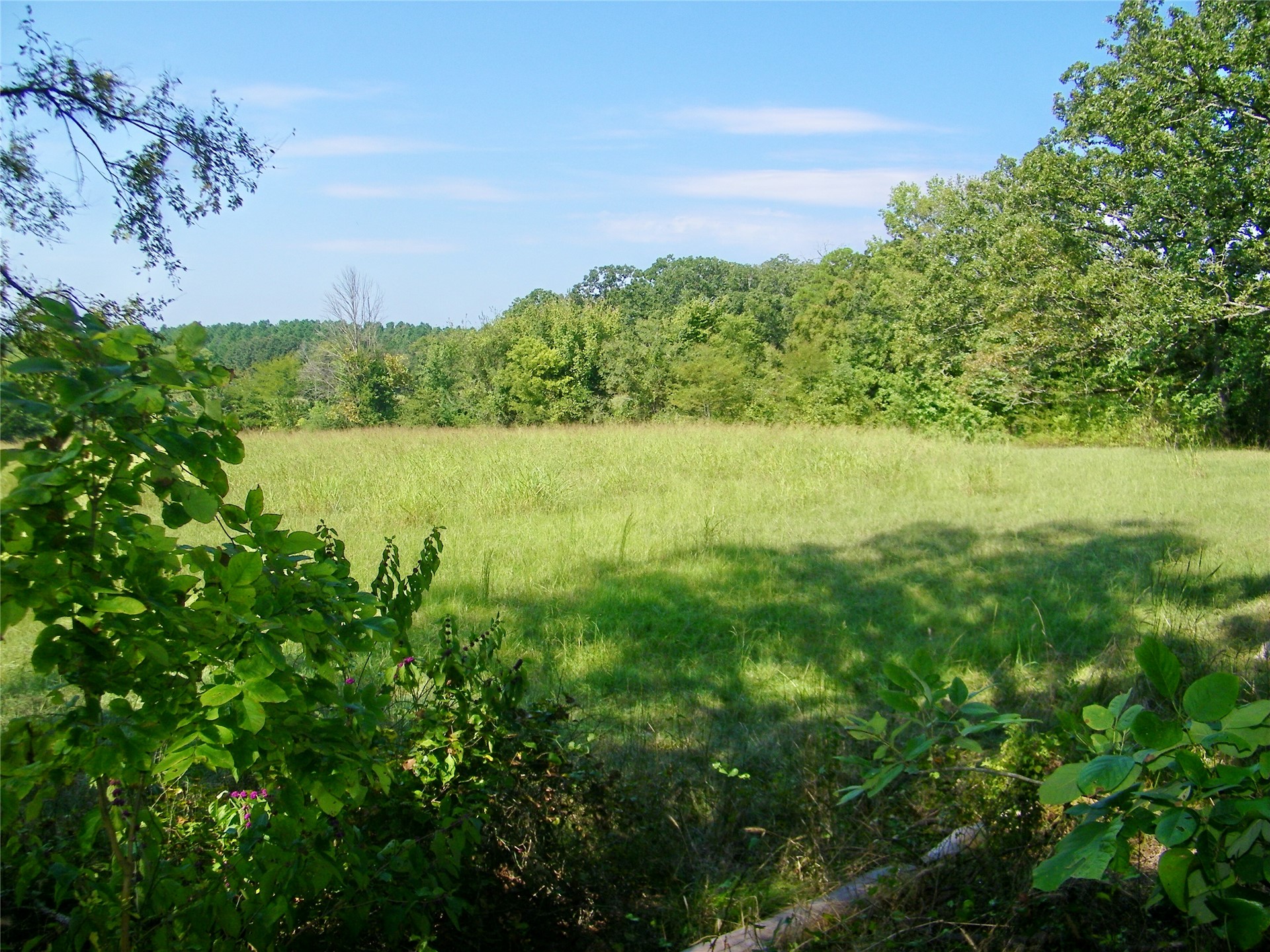 901 Sycamore Loop Broken Bow OK 74728