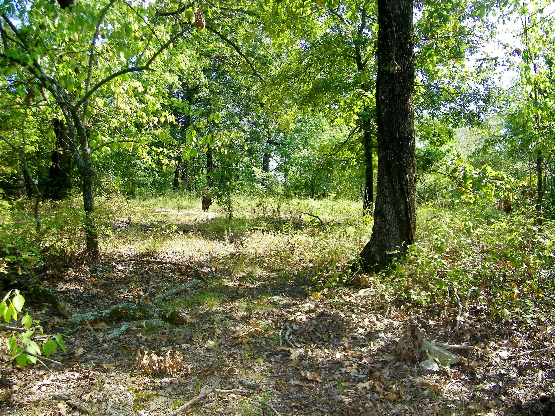 901 Sycamore Loop Broken Bow OK 74728