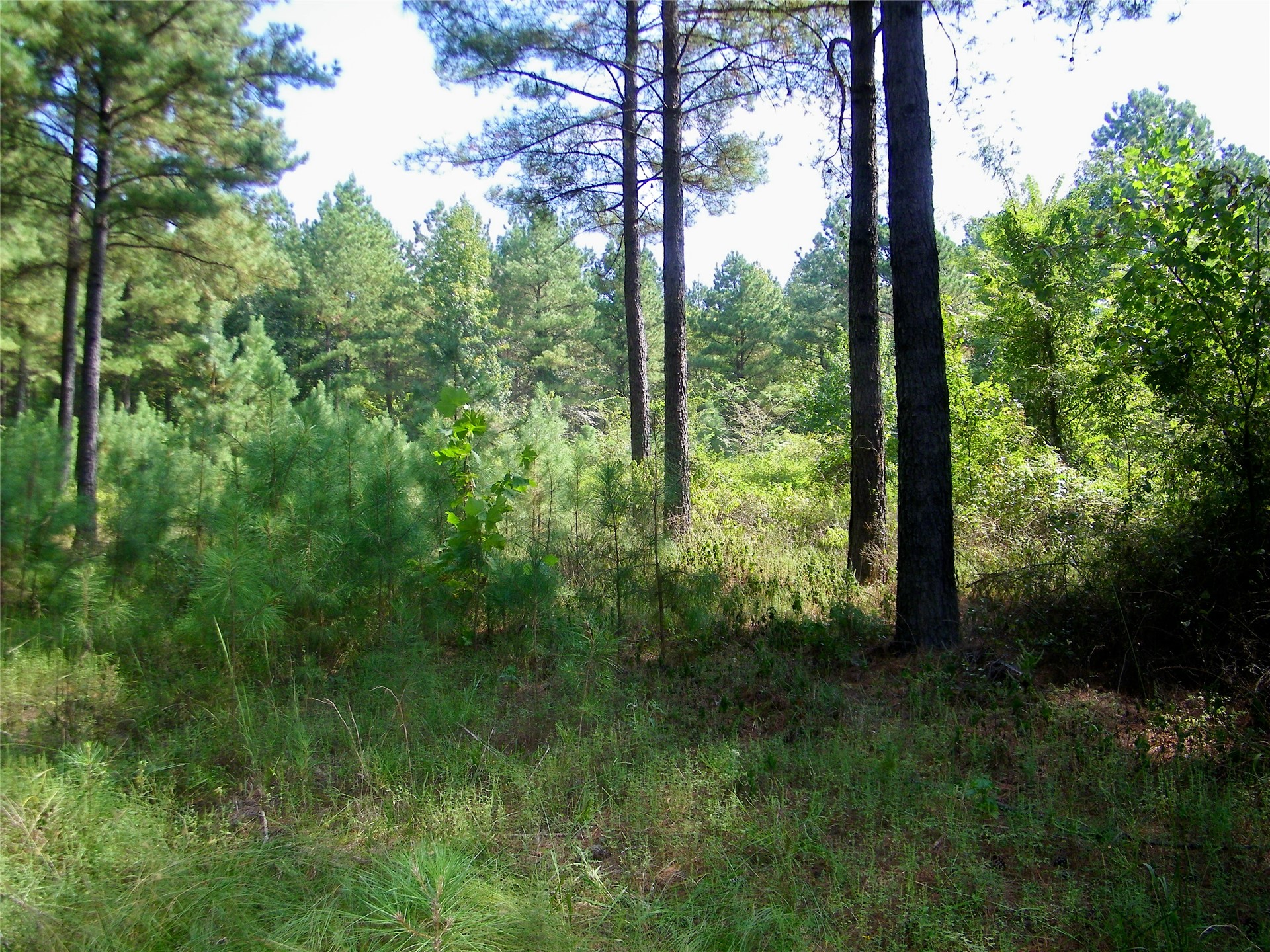 901 Sycamore Loop Broken Bow OK 74728