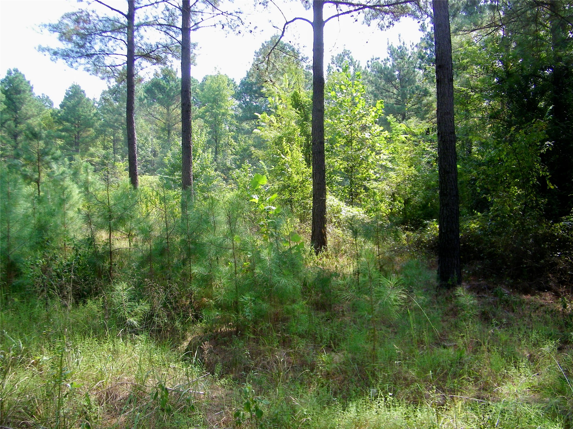 901 Sycamore Loop Broken Bow OK 74728