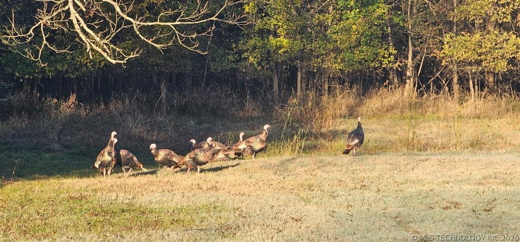 N 372 Holdenville OK 74848
