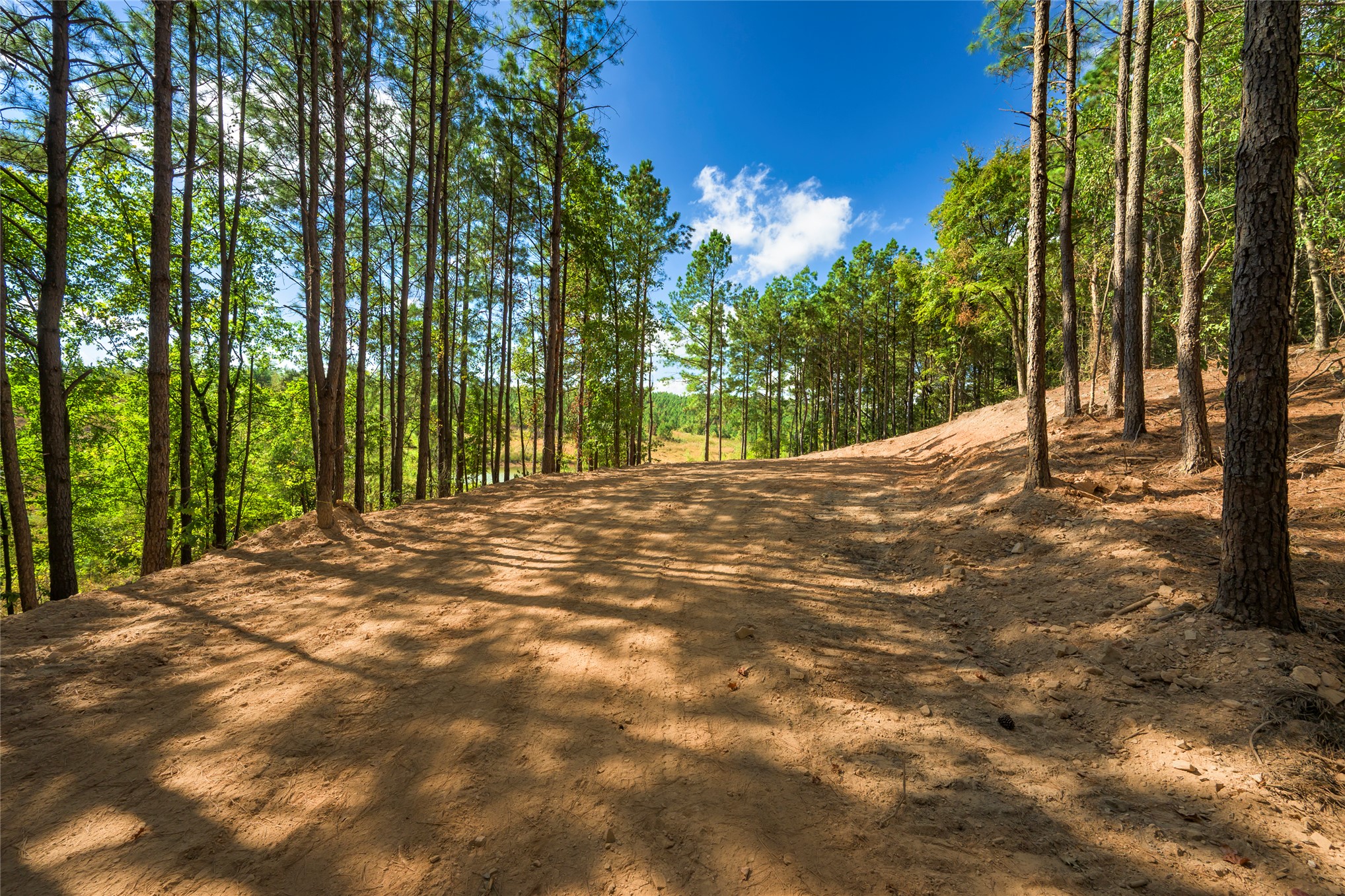 256 Woodsman Broken Bow OK 74728