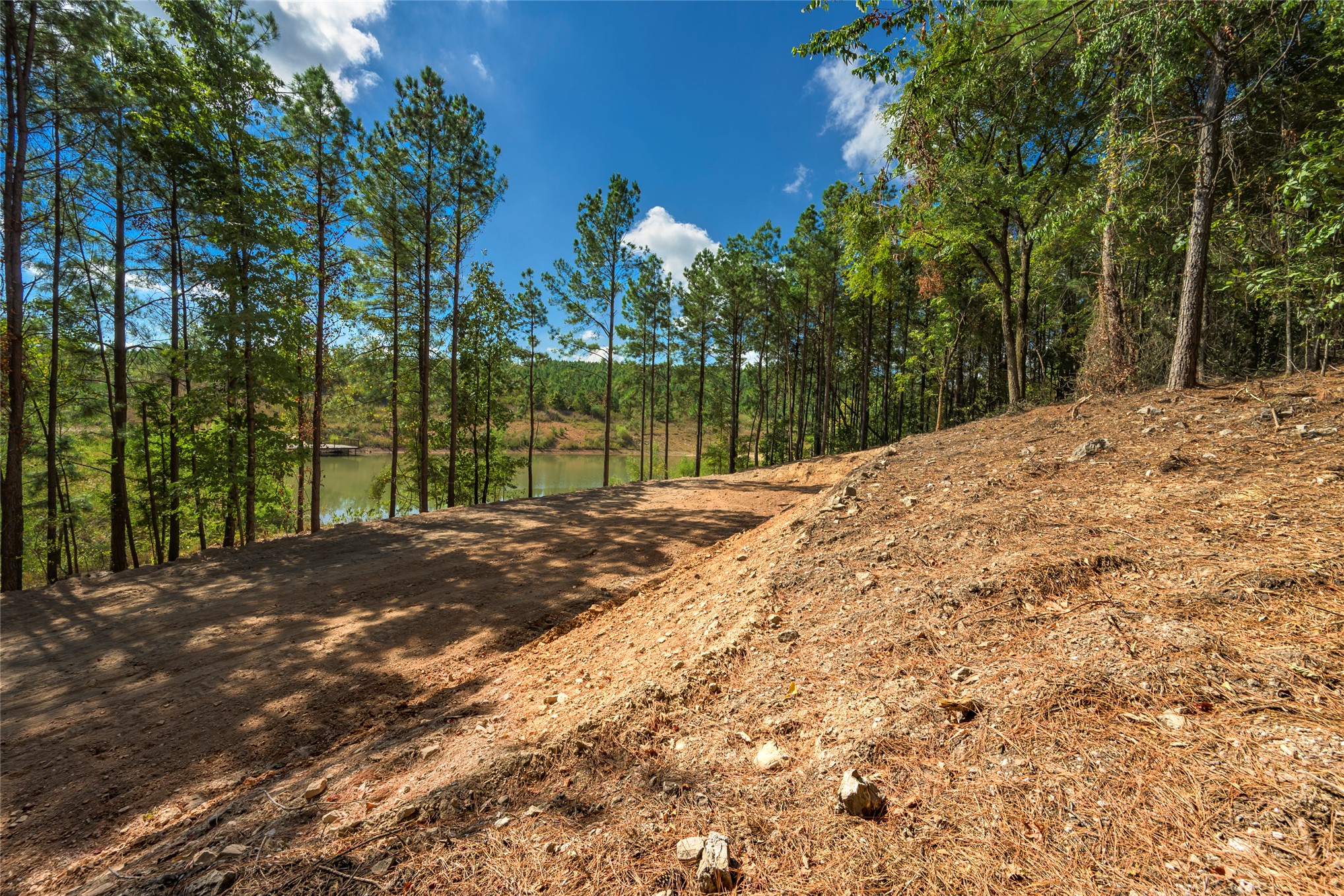 256 Woodsman Broken Bow OK 74728