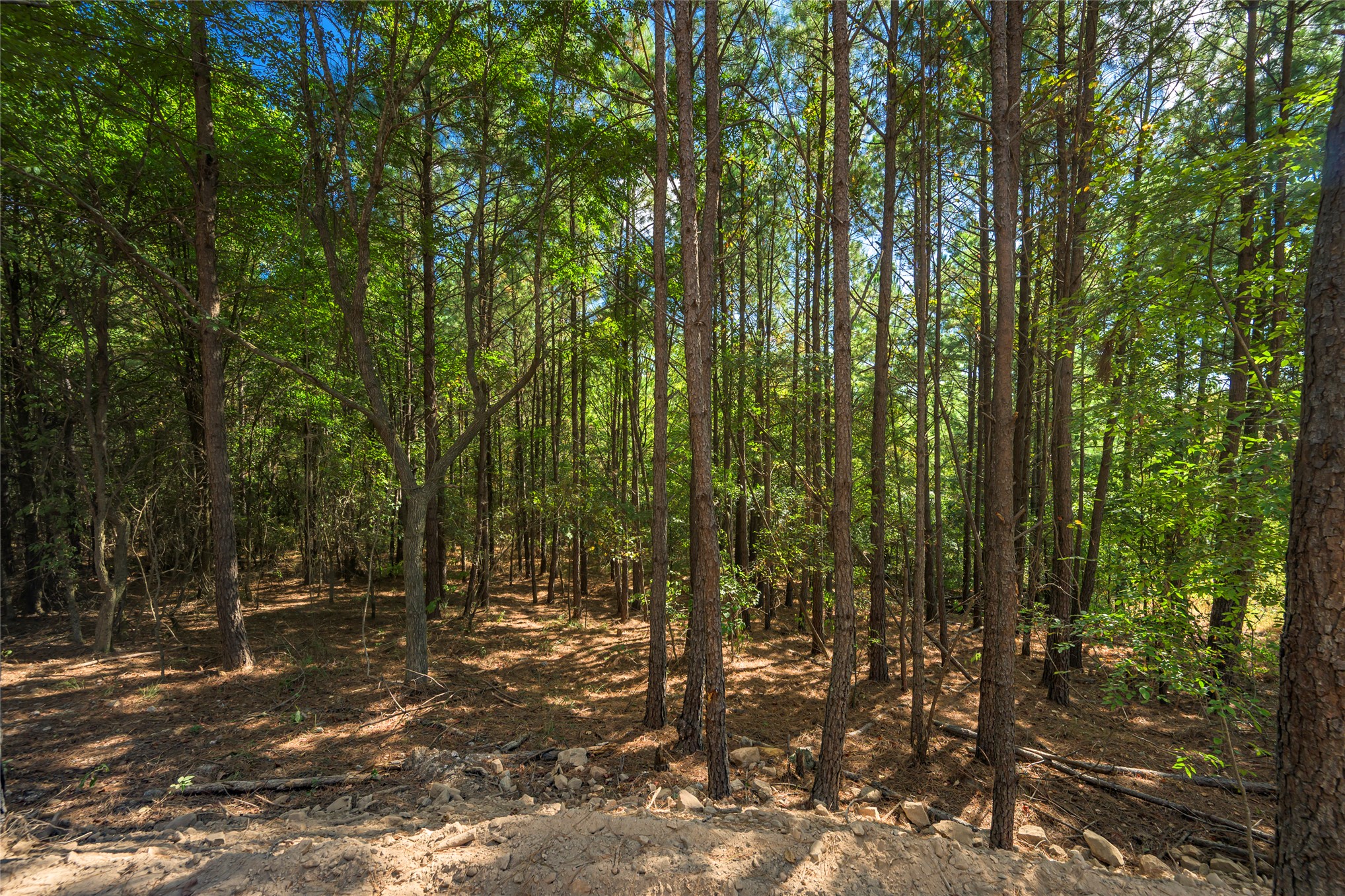 256 Woodsman Broken Bow OK 74728