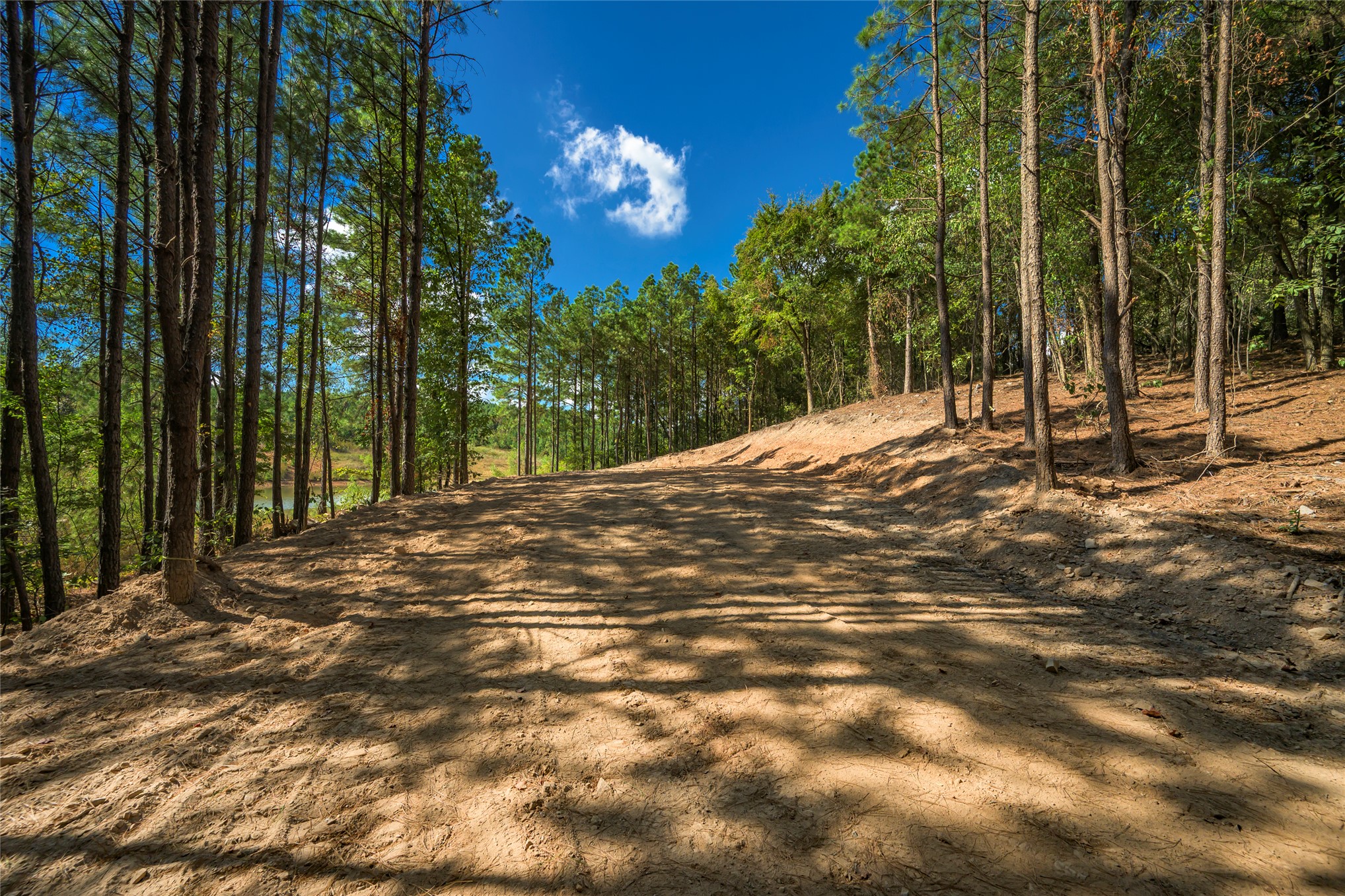 256 Woodsman Broken Bow OK 74728