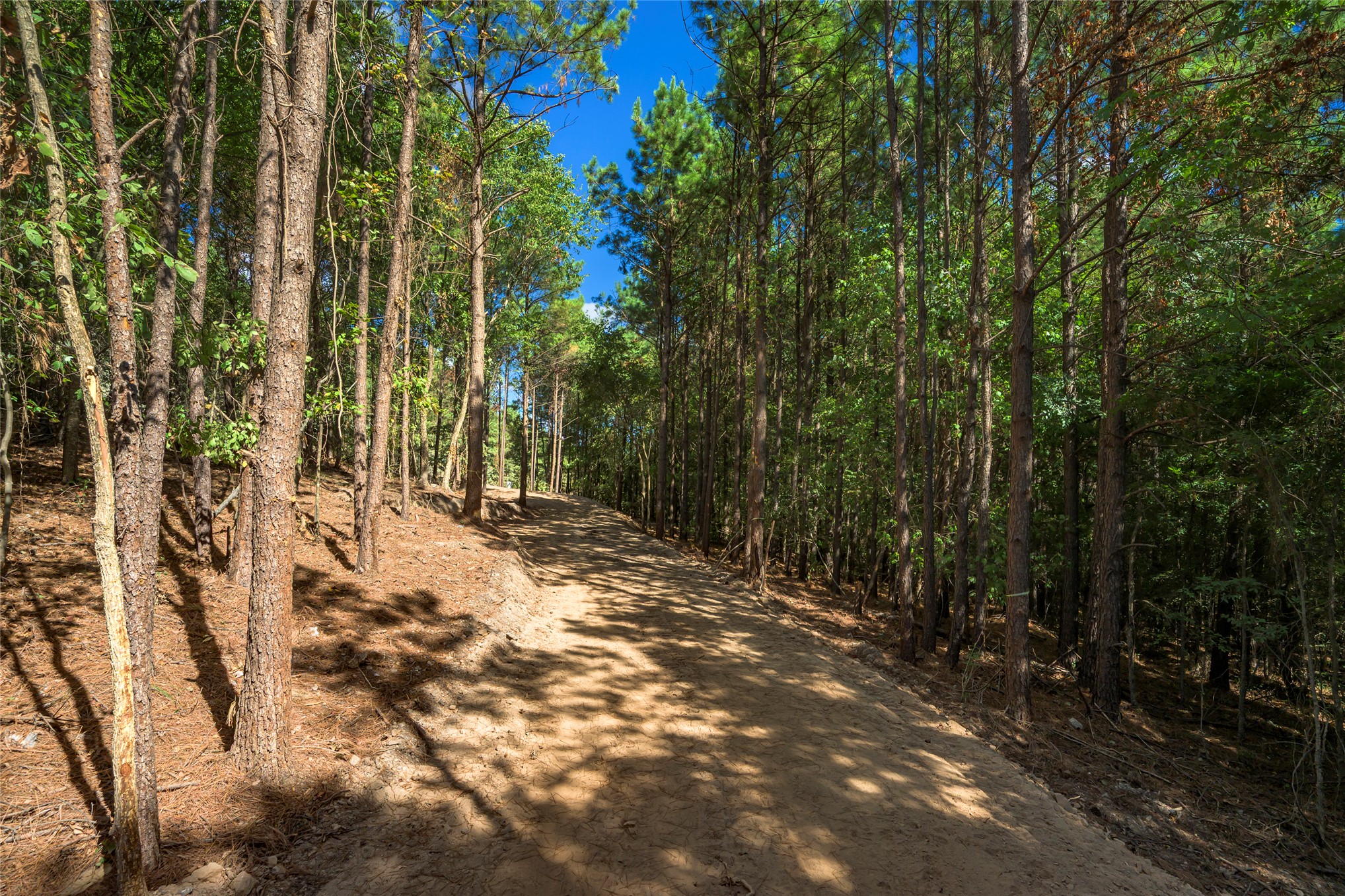256 Woodsman Broken Bow OK 74728
