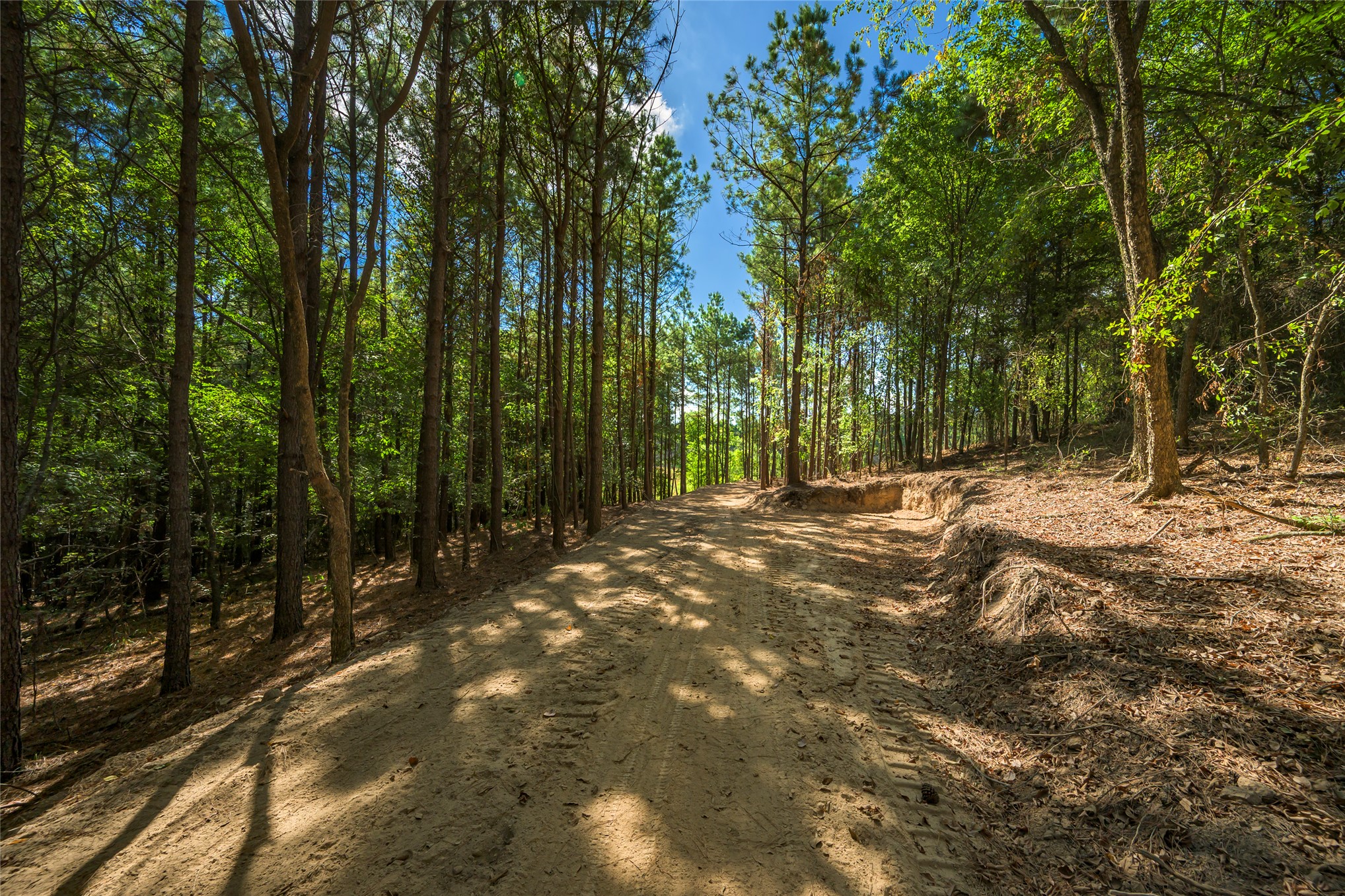 256 Woodsman Broken Bow OK 74728