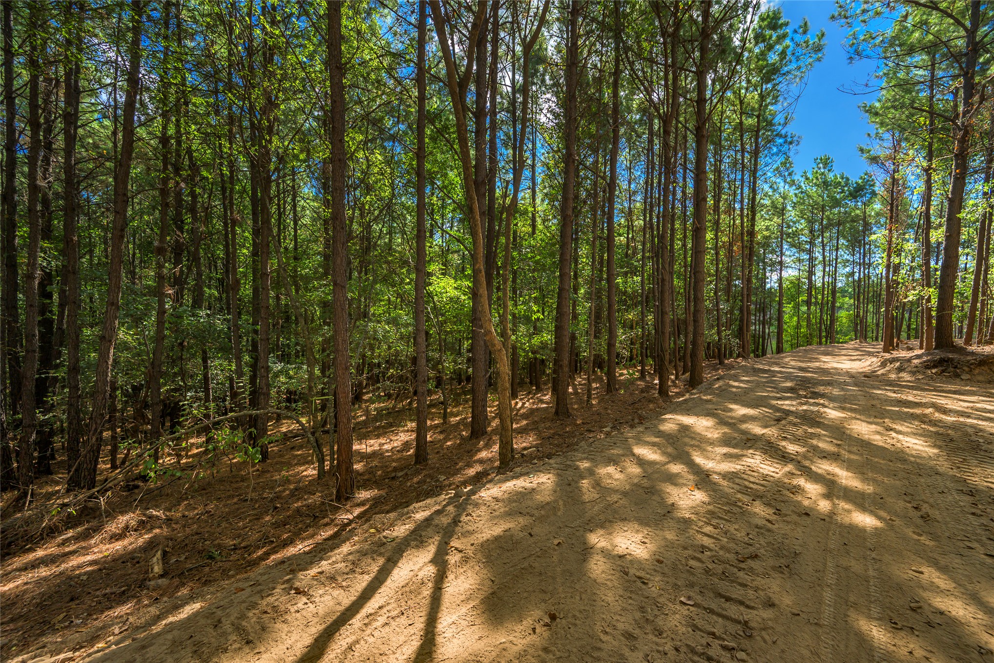 256 Woodsman Broken Bow OK 74728