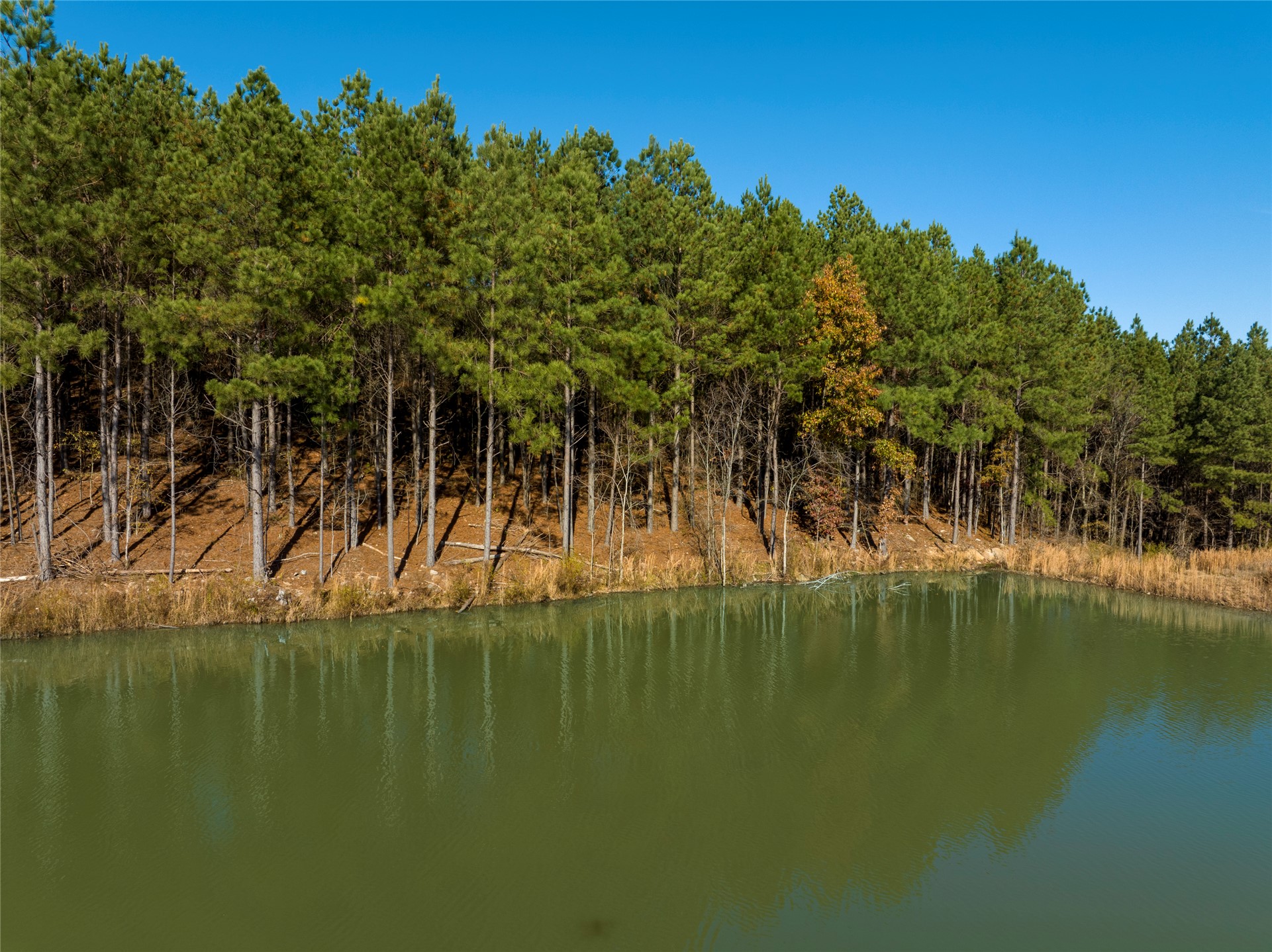 256 Woodsman Broken Bow OK 74728