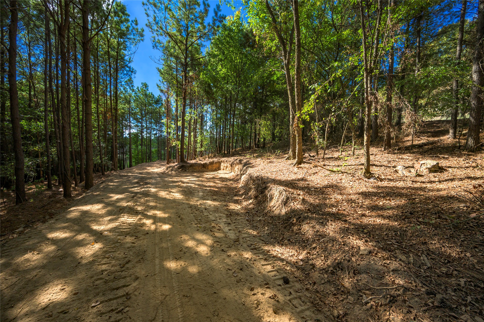 256 Woodsman Broken Bow OK 74728