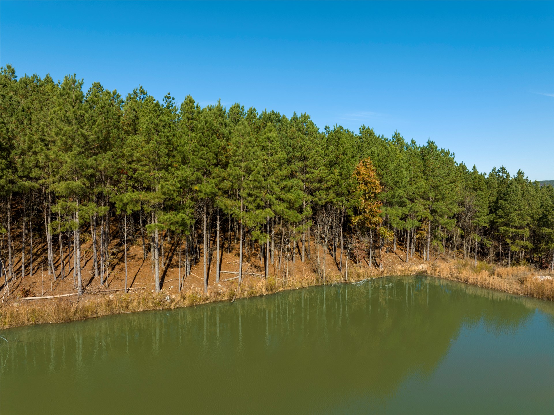 256 Woodsman Broken Bow OK 74728