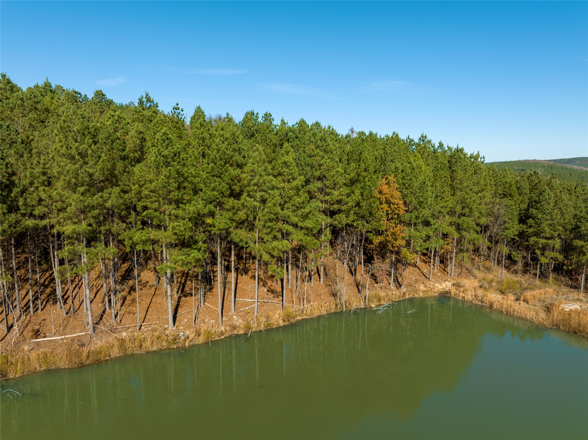 256 Woodsman Broken Bow OK 74728